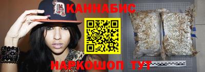 стаф Лесосибирск