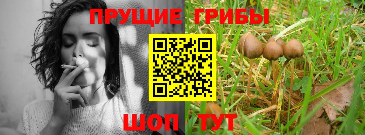 Галлюциногенные грибы GOLDEN TEACHER Зеленодольск