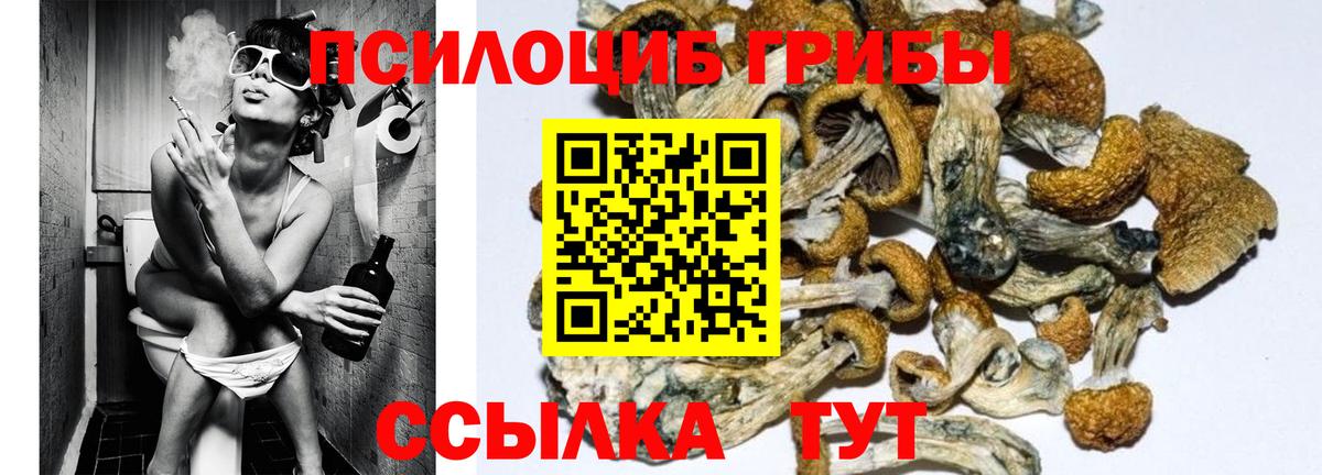 Зеленодольск  Галлюциногенные грибы прущие грибы  Галлюциногенные грибы мицелий  Вход с VPN 